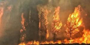 تونس
      تعلن
      السيطرة
      بنسبة
      90%
      على
      حريق
      جبل
      برج
      السدرية
      قرب
      العاصمة بالبلدي | BeLBaLaDy
