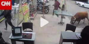 بالبلدي: كاميرا
      مراقبة
      ترصد
      ثورًا
      طليقًا
      في
      حالة
      هياج
      يهاجم
      متجرًا..
      شاهد
      ما
      حدث