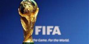 بالبلدي: بخطوات بسيطة.. شاهد مباريات كأس العالم قطر 2022 عبر تطبيق TOD