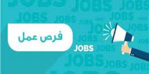 بالبلدي: 753 وظيفة.. «القوى العاملة» تعلن فرص عمل برواتب تصل إلى 4000 جنيه