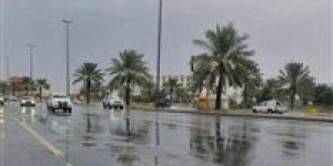 بالبلدي: أمطار القاهرة.. ننشر خطة المحافظة لمواجهة الطقس السيئ