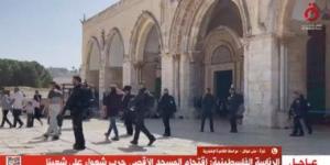 بالبلدي: بث مباشر ..باحات المسجد الأقصى المبارك بعد العدوان الإسرائيلى