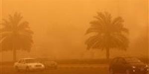 بالبلدي : نشاط الرياح.. حالة الطقس اليوم في محافظة البحيرة