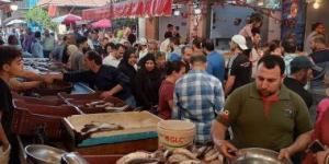 بالبلدي: سوق الأسماك ببورسعيد مزار سياحى لتناول الوجبات الفاخرة بأسعار تنافسية.. صور