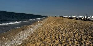 بالبلدي : قبل الصيف.. حملة مكبرة لتنظيف شاطئ مدينة بورفؤاد| صور