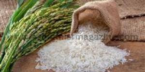 بالبلدي: أسعار الأرز الشعير فى مصر اليوم السبت 27 مايو 2023