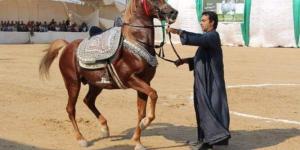 بالبلدي: استعدادات على قدم وساق.. الشرقية تحتضن مهرجان الخيول العربية فى دورته الـ27