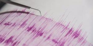 بالبلدي: زلزال بقوة 4.9 درجة يضرب جنوب إيران