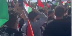 بالبلدي : مسيرات حاشدة لدعم فلسطين والتنديد بحصار غزة في مدينة نصر.. صور