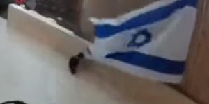 بالبلدي: من الحرق للضرب بالأحذية للوضع علي ظهر حمار.. "البوابة نيوز" ترصد مراحل إهانة العلم الإسرائيلي