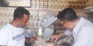 بالبلدي: تموين جنوب سيناء تضبط ربع طن دجاج غير صالح للاستهلاك الآدمي