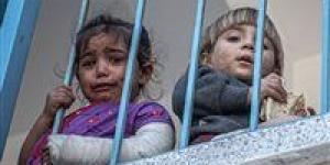 بالبلدي : بمعدل 120 طفلا يوميا.. الاحتلال الإسرائيلي يقتل 1688 طفلا في غزة والضفة