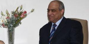 بالبلدي: سفير مصر الأسبق بفلسطين: قمة القاهرة رسالة للعالم برفض قتل الفلسطينيين