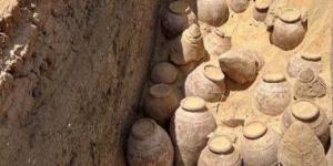 بالبلدي: مواقع أجنبية تبرز الاكتشاف الجديد لنبيذ عمره 5000 عام فى مقبرة ملكة فرعونية