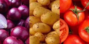 بالبلدي: البطاطس تراجعت.. أسعار الخضراوات والفاكهة اليوم الأحد 22 أكتوبر 2023 belbalady.net