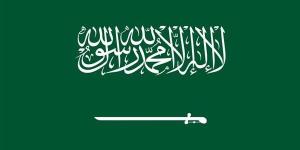 بالبلدي: السعودية تعتمد منهجية جديدة لاحتساب بيانات الاستثمار الأجنبي المباشر belbalady.net