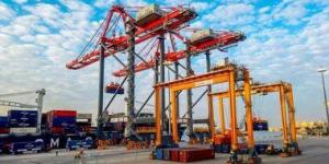 بالبلدي: هيئة ميناء الإسكندرية تعلن عن مزايدة لإنشاء محطة لتداول وتخزين الحبوب والغلال