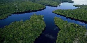 بالبلدي: جفاف نهر الأمازون يكشف عن نقوش أثرية تعود إلى 2000 عام مضت