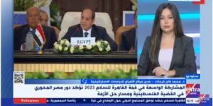 بالبلدي: محمد فايز فرحات: قمة القاهرة للسلام عرضت وجهة نظر مصر والعرب لحل الأزمة الفلسطينية