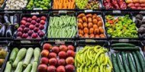 بالبلدي: اعرف أسعار الخضروات والفاكهة اليوم الأحد 22 - 10 – 2023 في السوق المصري