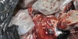 بالبلدي : ضبط 100 كيلو لحوم ودواجن ورنجة غير صالحة في حملة بيطرية بالغربية