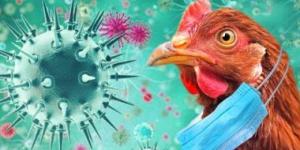 بالبلدي: الباييس: أنفلونزا الطيور تهدد سياحة "الطيور" بأوروبا بعد نفوق أكثر من 100 ألف طائر