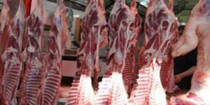 بالبلدي : أسعار اللحوم في مصر اليوم الأحد