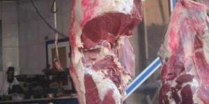 بالبلدي : التموين تطرح اللحوم بالمجمعات الاستهلاكية ضمن مبادرة تخفيض الأسعار