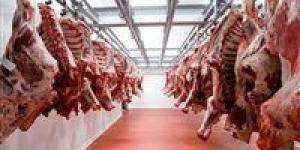 بالبلدي: 300 للضأن.. أسعار اللحوم بأنواعها اليوم الاثنين 23 - 10 – 2023