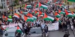 بالبلدي: الآلاف يتظاهرون فى ولاية ميشيجان تنديدا بجرائم الاحتلال فى غزة.. فيديو