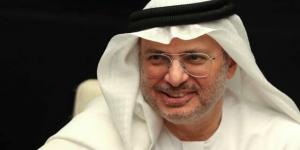 مستشار رئيس الإمارات: الظروف الحالية في غزة تتطلب الحكمة السياسية بالبلدي | BeLBaLaDy