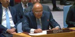 شكري خلال جلسة مجلس الأمن: مصر حذرت مرارا من تقاعس المجتمع الدولي تجاه عملية السلام
