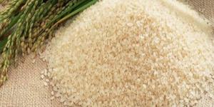 بالبلدي: صناعة الحبوب: التغيرات المناخية أثرت بشدة على محصول الأرز