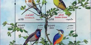 بالبلدي: هيئة البريد تصدر بطاقة تذكارية ترصد فيها ظاهرة "الطيور المهاجرة"