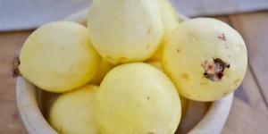 بالبلدي: في موسمه.. ماذا يحدث لجسمك عند تناول فاكهة الجوافة يوميًّا؟ belbalady.net