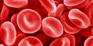 بالبلدي : كيف يمكن تشخيص أنيميا الفول؟.. عليك بإجراء صورة دم كاملة