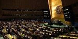 بالبلدي : إسرائيل: قرارات الأمم المتحدة لا تتمتع بأي شرعية أو أهمية