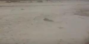 بالبلدي : سيول شديدة بمحافظة البحر الأحمر تقطع الطريق بين قنا وسفاجا | صور