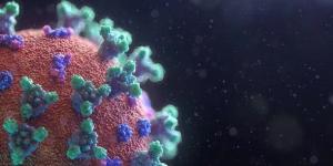 بالبلدي: كوريا الجنوبية تصنف فيروس كورونا بالمستوى الرابع ليتساوى مع الأنفلونزا الموسمية