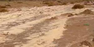 بالبلدي: سيول متوسطة على وادي السعال بسانت كاترين في جنوب سيناء.. صور belbalady.net
