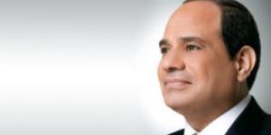 بالبلدي: اقتصادية النواب: مصر دولة آمنة بقيادتها وجيشها وقادرة على حماية أمنها القومى