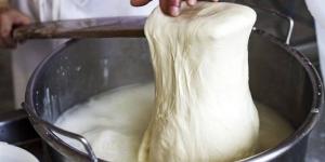 بالبلدي : طريقة عمل الجبنة الموزاريلا في البيت بالصور.. 3 أسرار عن الوصفة