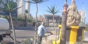 بالبلدي: رفع كفاءة وزراعة الأشجار بالمندرة والمعمورة في الإسكندرية ضمن "100 مليون شجرة"