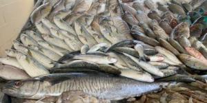 بالبلدي: أسعار الأسماك اليوم فى الأسواق.. المكرونة السويسى بـ 57 جنيها