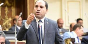 بالبلدي: عمرو درويش نائب التنسيقية يطالب بتذليل العقبات أمام توطين الصناعة المصرية