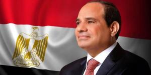 بالبلدي : الرئيس السيسي يوقع قانونا بشأن تقرير بعض التيسيرات للمصريين المقيمين بالخارج