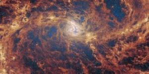 بالبلدي: صورة تلسكوب جيمس ويب الفضائى تظهر حديقة مجرية مليئة بالنجوم الناشئة