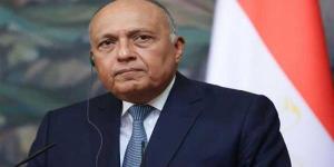 بالبلدي : برلماني: مشاركة وزير الخارجية في الاجتماع الوزاري بالأردن دليل على استغلال كافة السبل لوقف إطلاق النار