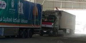 بالبلدي : وصول 5 طائرات مساعدات قادمة من الإمارات والكويت وتركمانستان إلى مطار العريش لدعم غزة