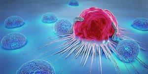 بالبلدي : تبعا لمكان وجودها في الورم.. اكتشاف اختلافات فريدة في الخلايا السرطانية